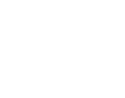 plan-digital-now-logo-white
